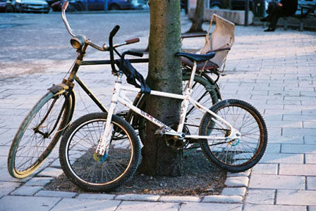 bmx1.jpg