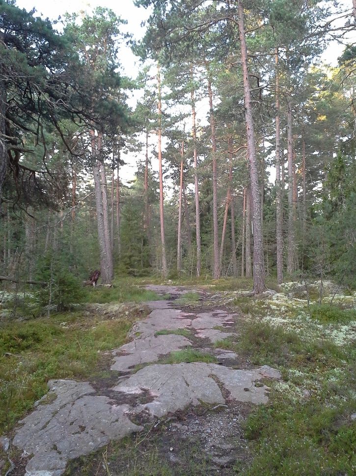 015.jpg
