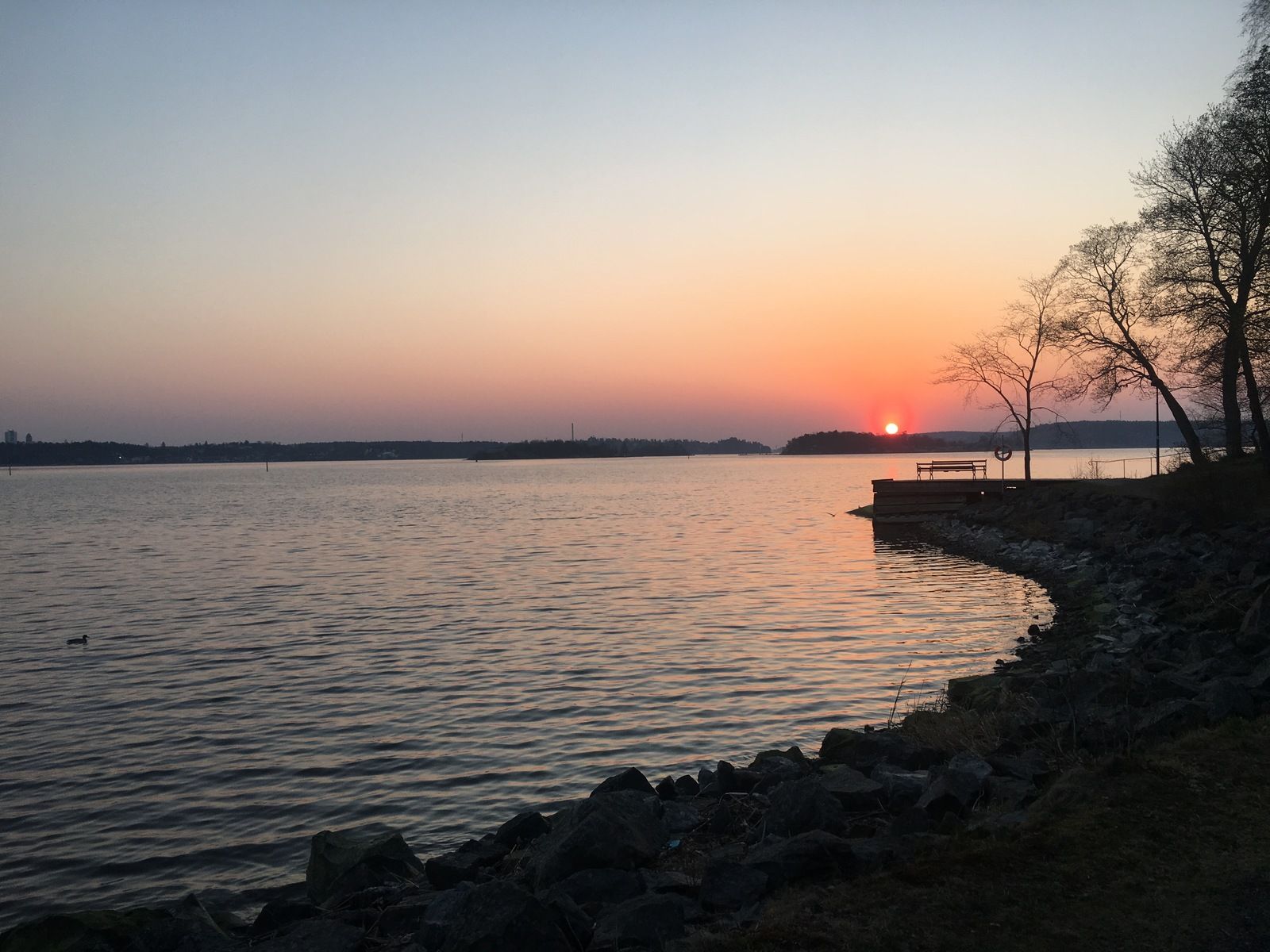 0160C597-C9A7-4E31-AC9D-25842D4E8685.jpeg