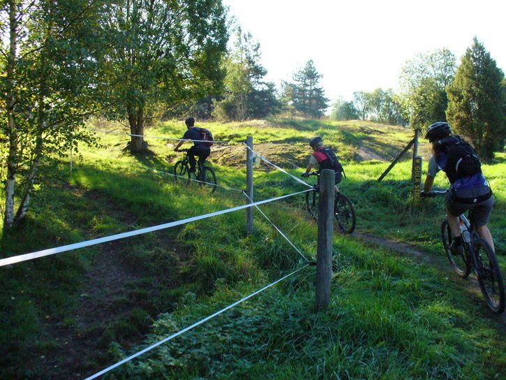 01gulastigen.jpg ht=544