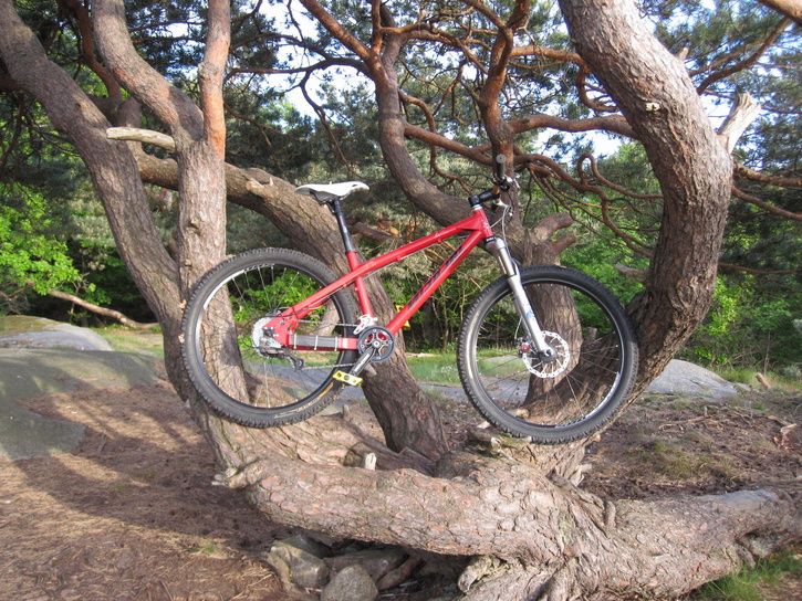 01nicolai.jpg ht=544