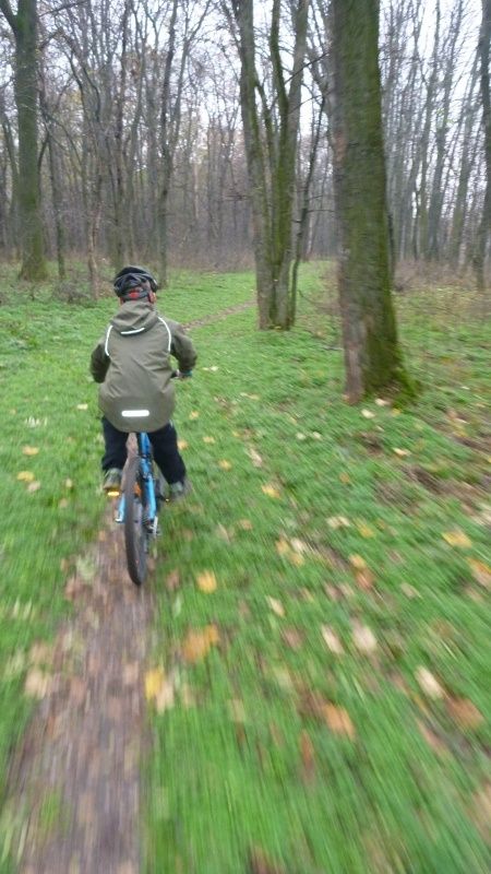 02450x800.jpg