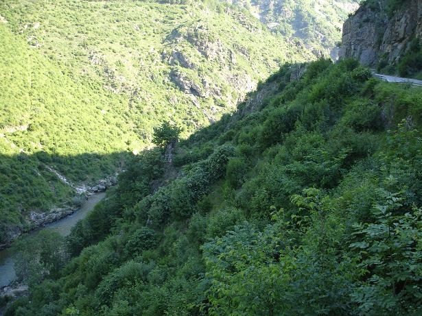 02undervatten.JPG ht=461