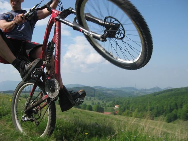 02windows.JPG ht=490