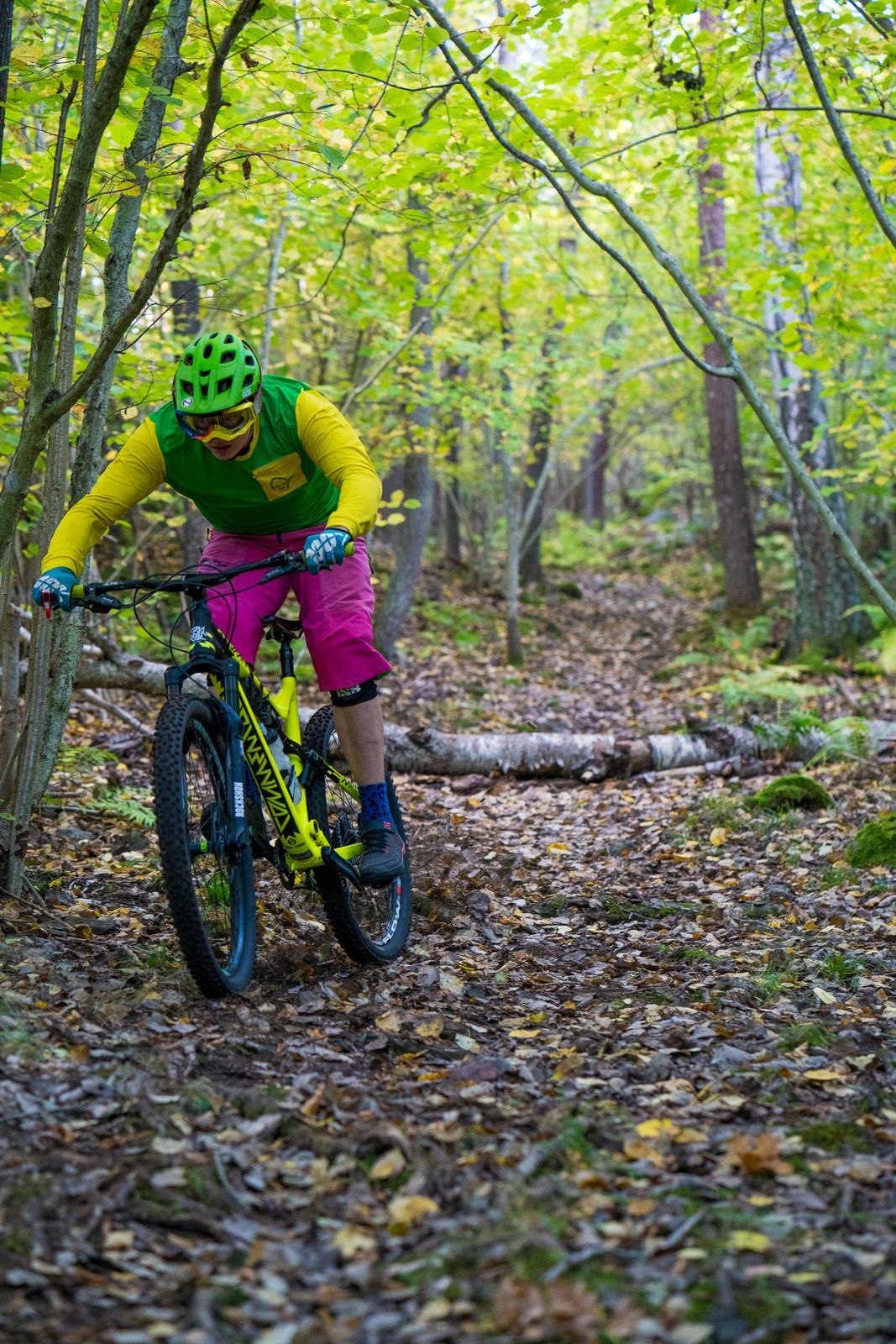 02102016-124550-_DSC6012.jpg