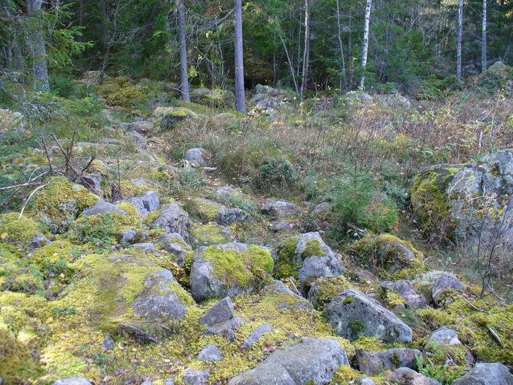 02stenigt.jpg ht=544