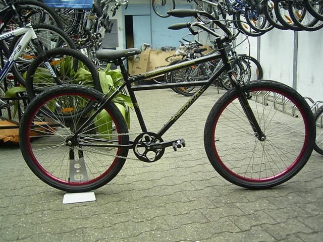 03Small.jpg ht=480