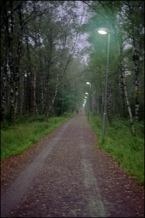 033_29A.jpg ht=725