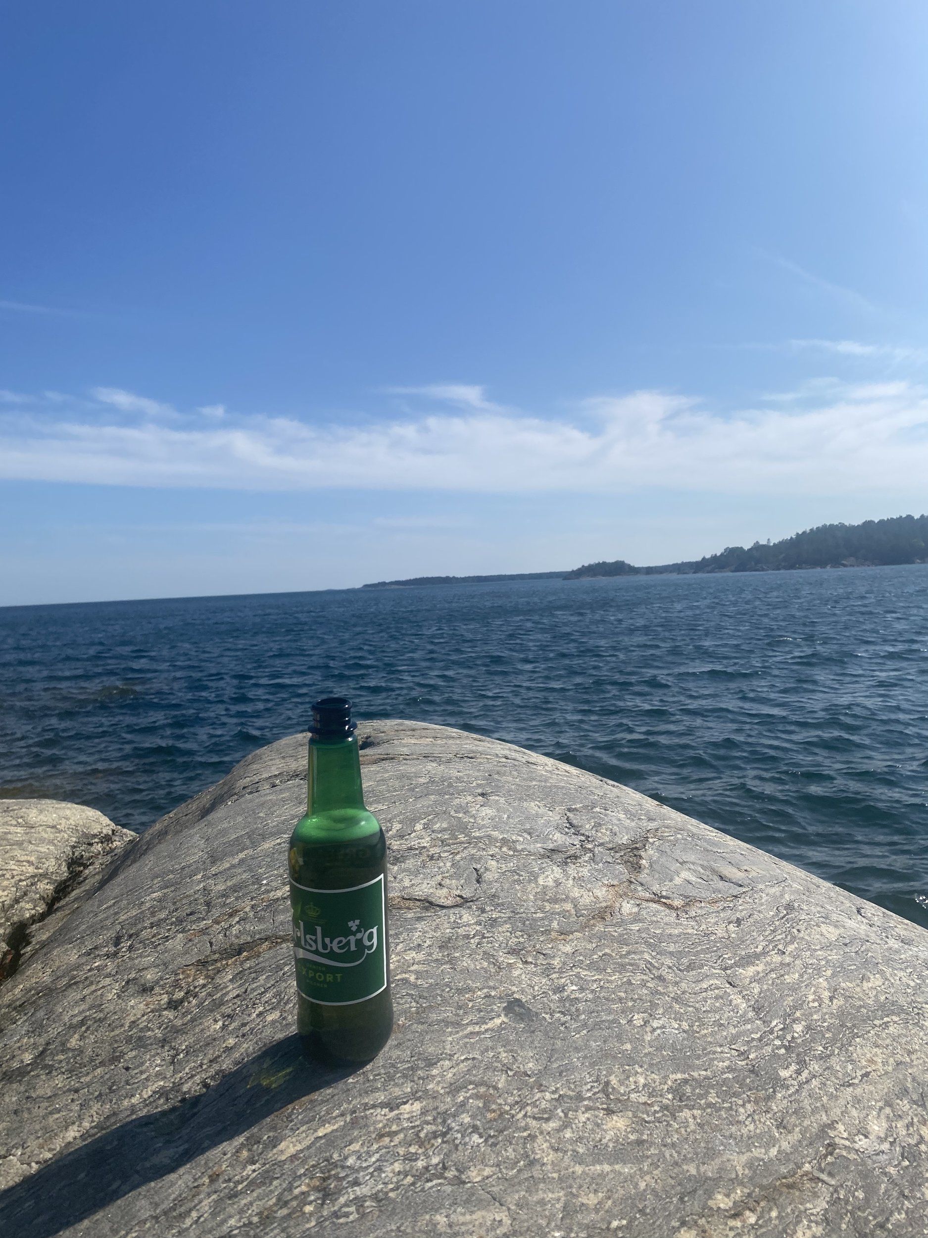036AB72C-7E53-46C8-A84A-79A83E6F145A.jpeg