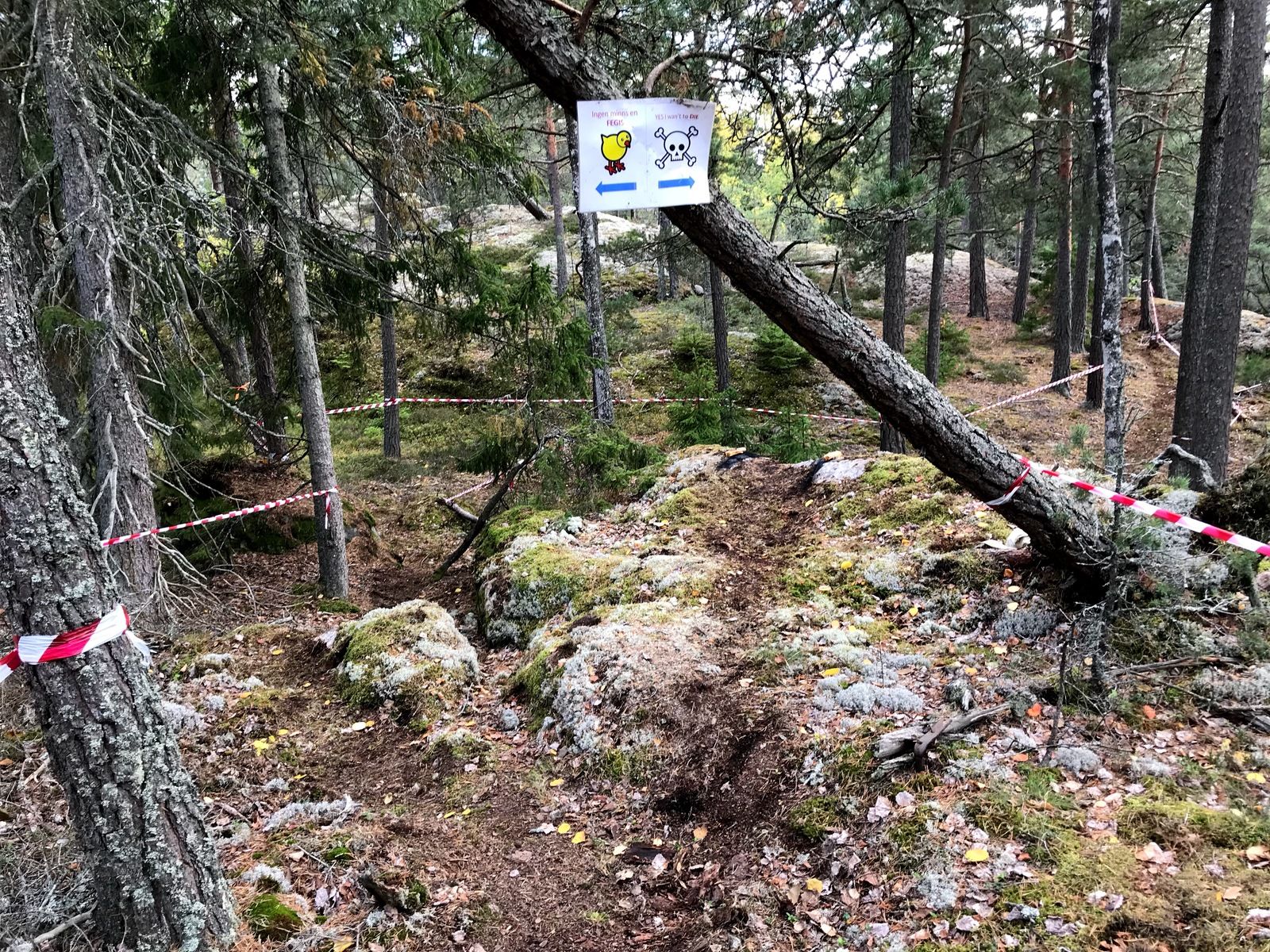 03937912-F319-43F3-8769-6583176852E4.jpeg