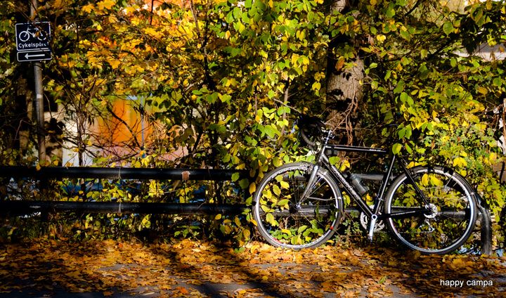 03_DSC6229.jpg ht=424