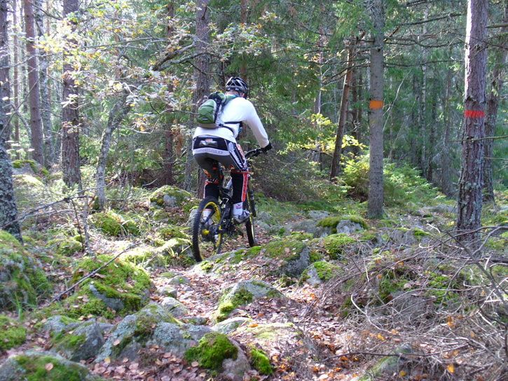 03stenigt.jpg ht=544