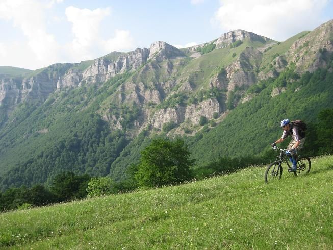 04dobrian.JPG ht=490