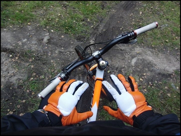 04.jpg ht=544