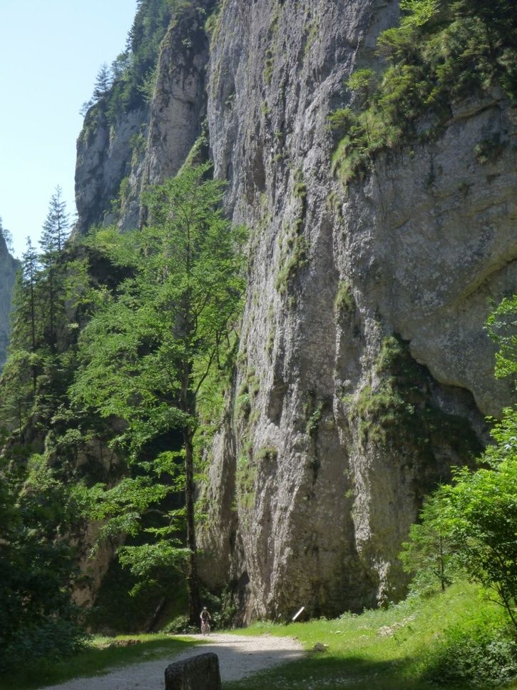 04.jpg