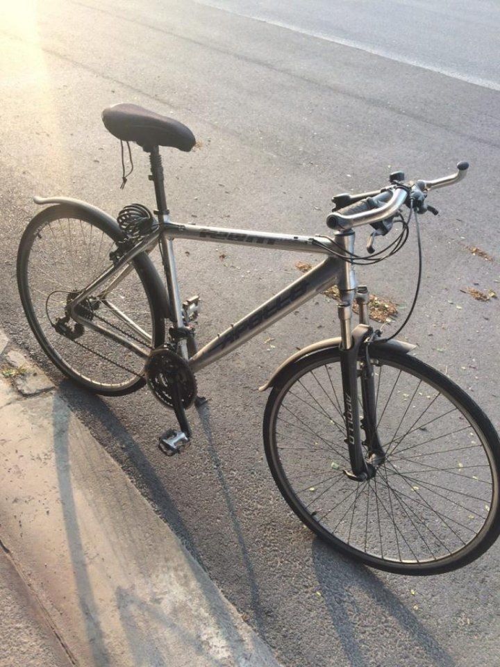 crossway redwood urban gent eu 18