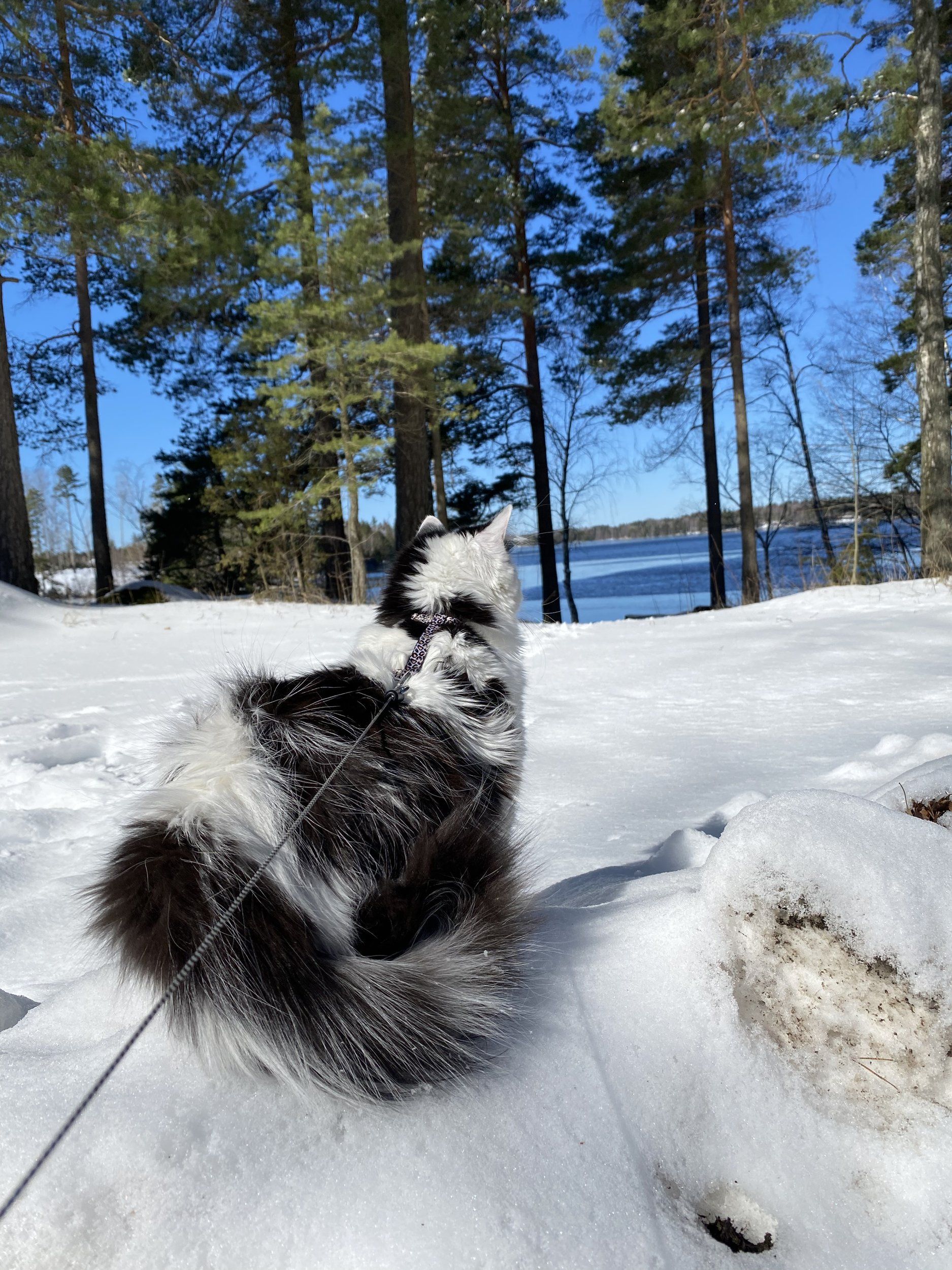 04C03072-C447-4C10-82B6-5A87341FA1E0.jpeg