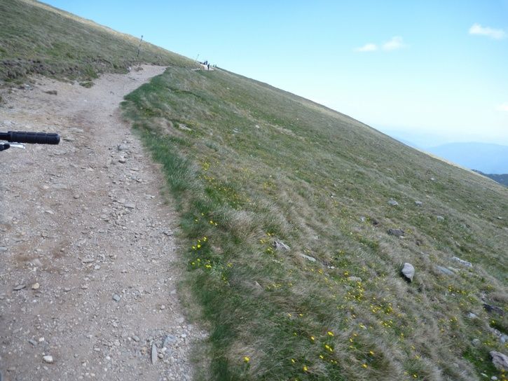 05.jpg