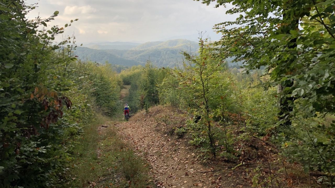 05.jpg