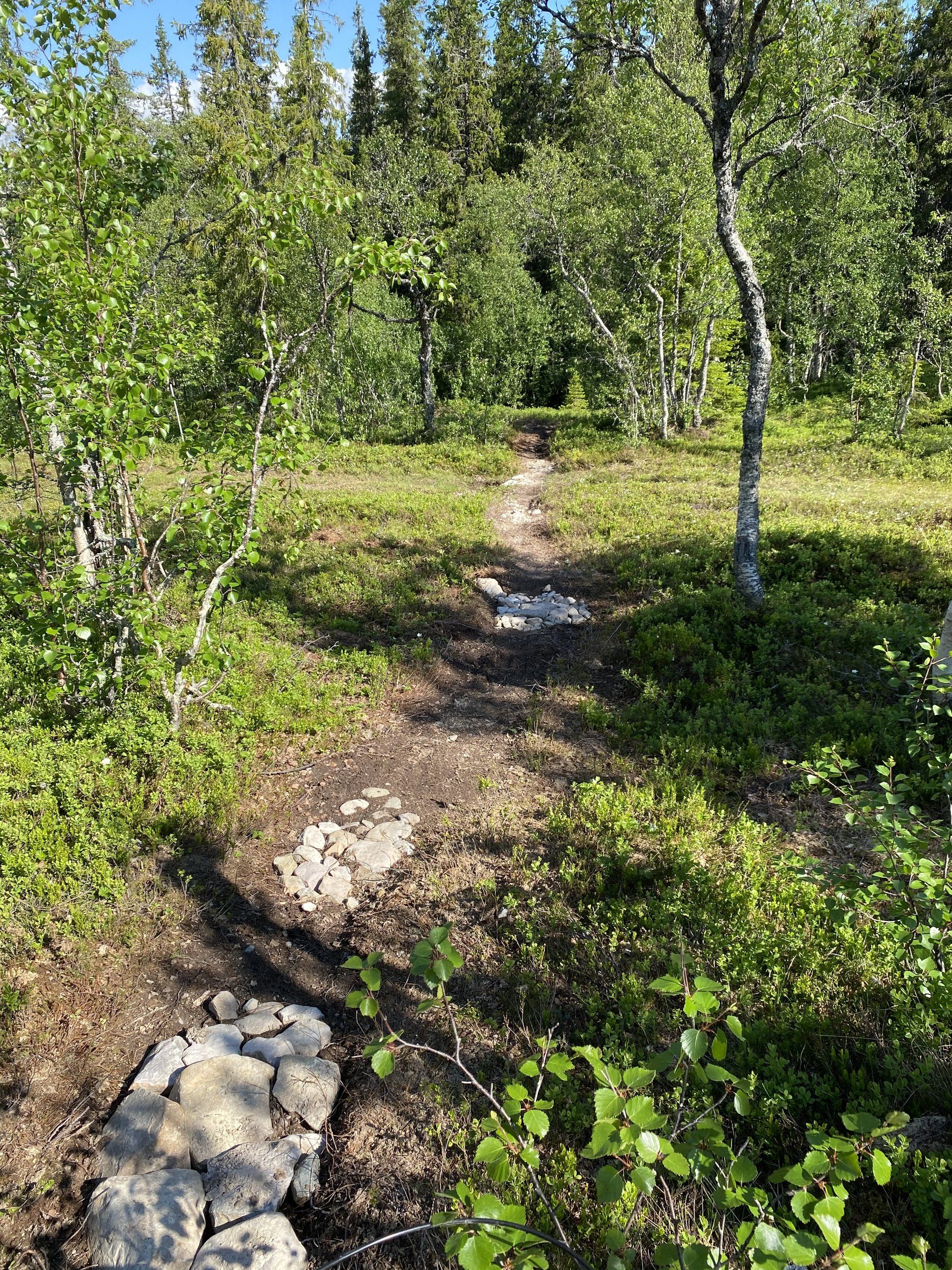 057373DE-0686-482D-9CA4-1EEC1E621376.jpeg