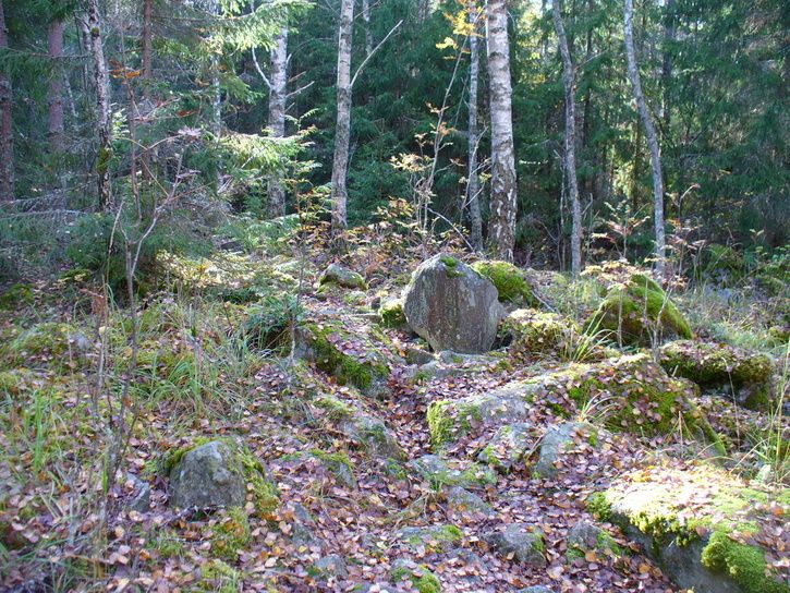 05ingenstig.jpg ht=544