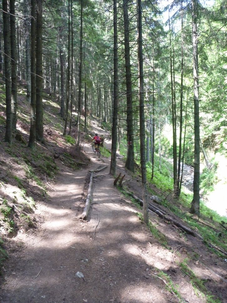 06.jpg