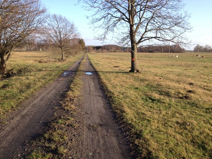 06.JPG