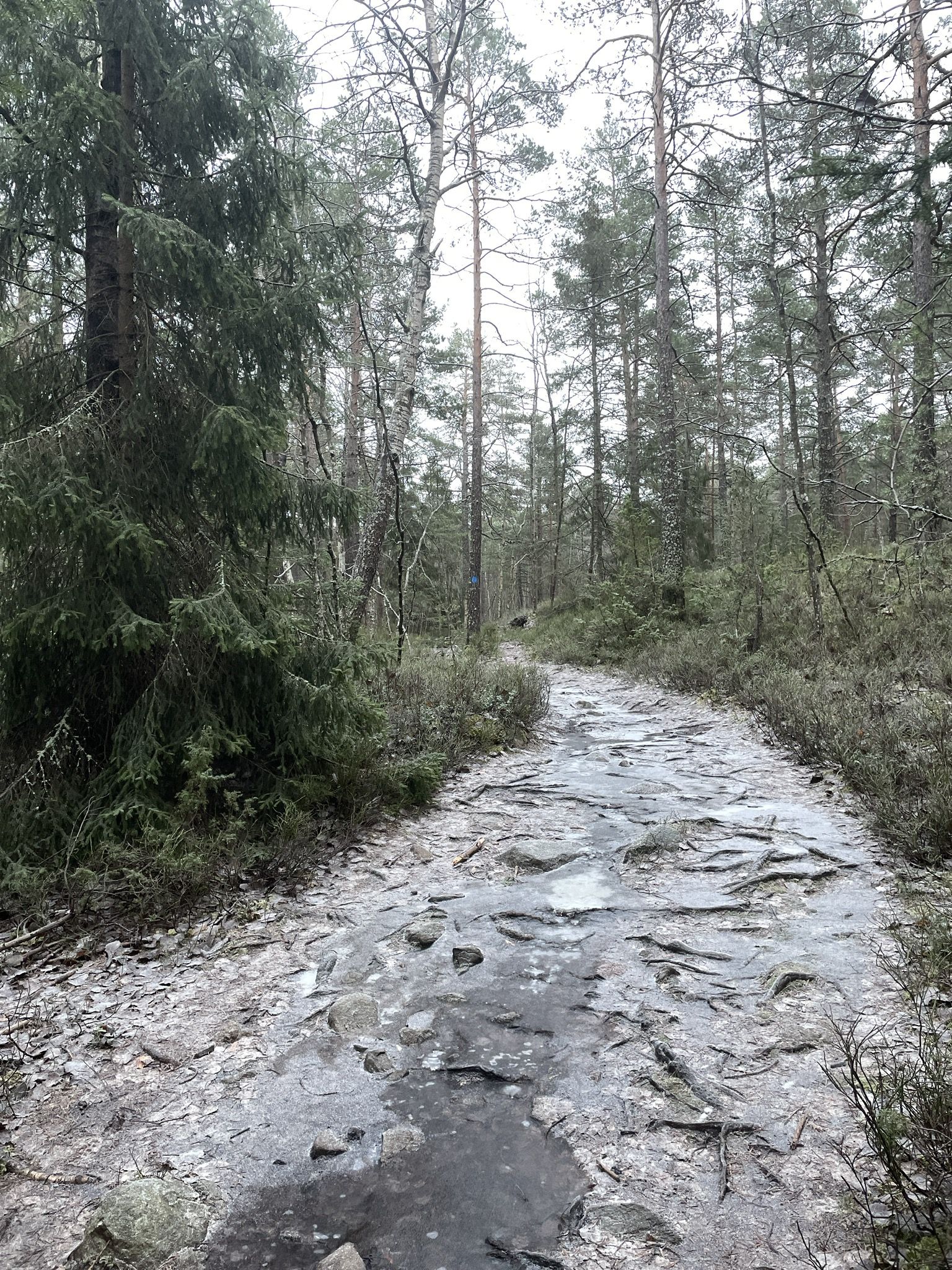 0672095B-96AE-4740-BFD6-F9A5BE3BA6FF.jpeg