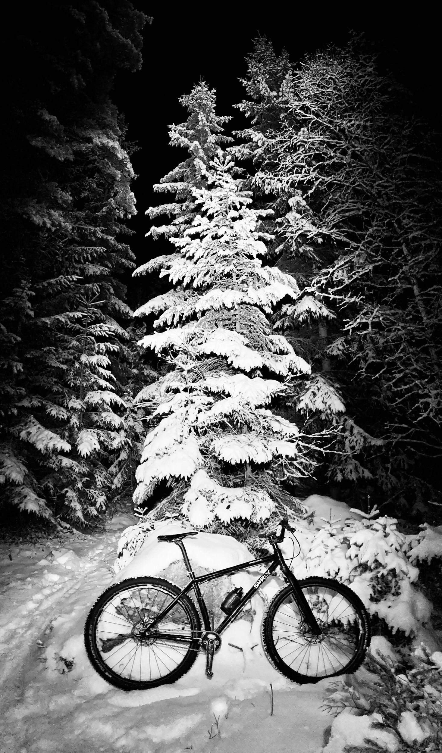06BA7376-AF0A-45CF-92C7-476CA3957237.jpeg