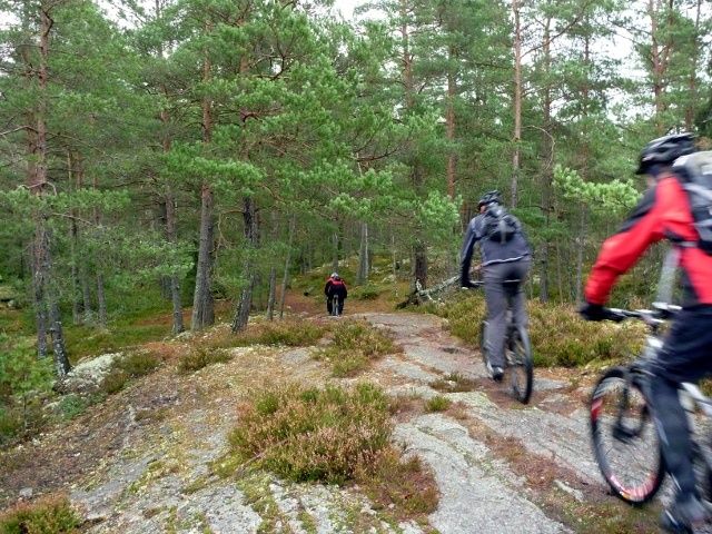 07-fartrnder.JPG ht=480