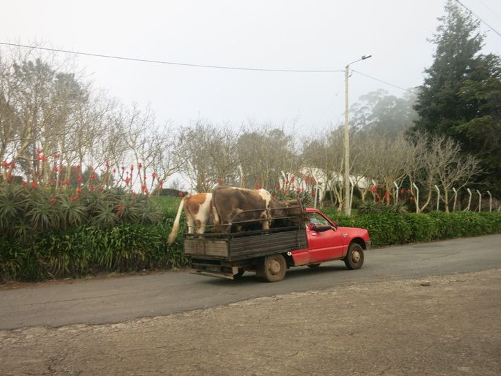 07.JPG