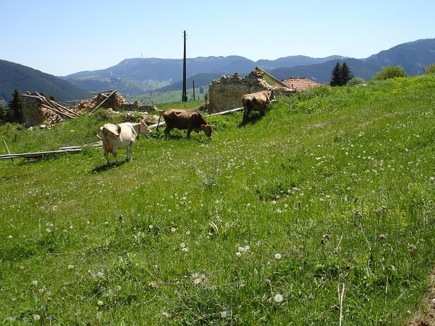 07kossoropamporovo.JPG ht=461