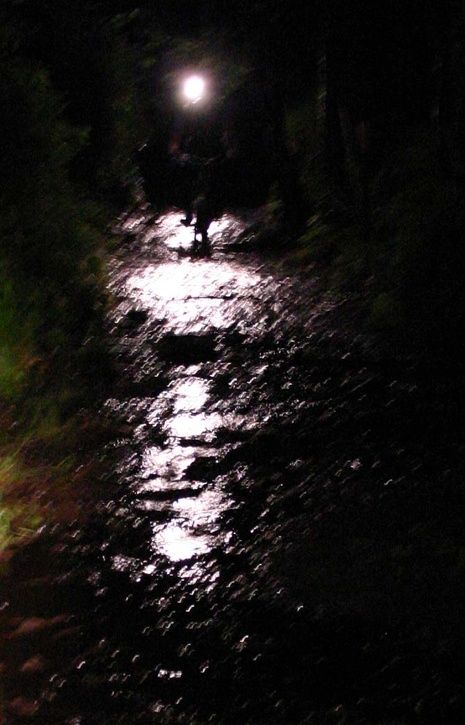 0706012247IMG_8244.JPG ht=725