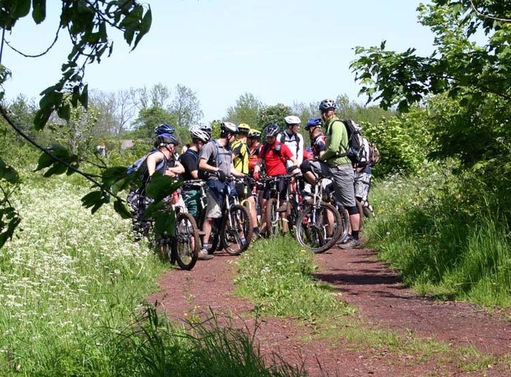 0706021240IMG_8353Samling.JPG ht=535