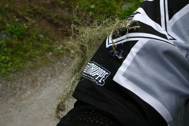 0707231707IMG_0399Mossa.jpg ht=483