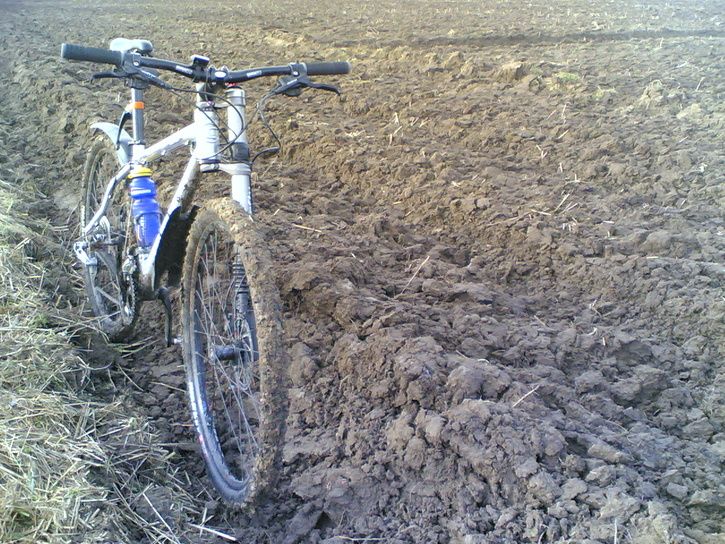 07112008001.jpg
