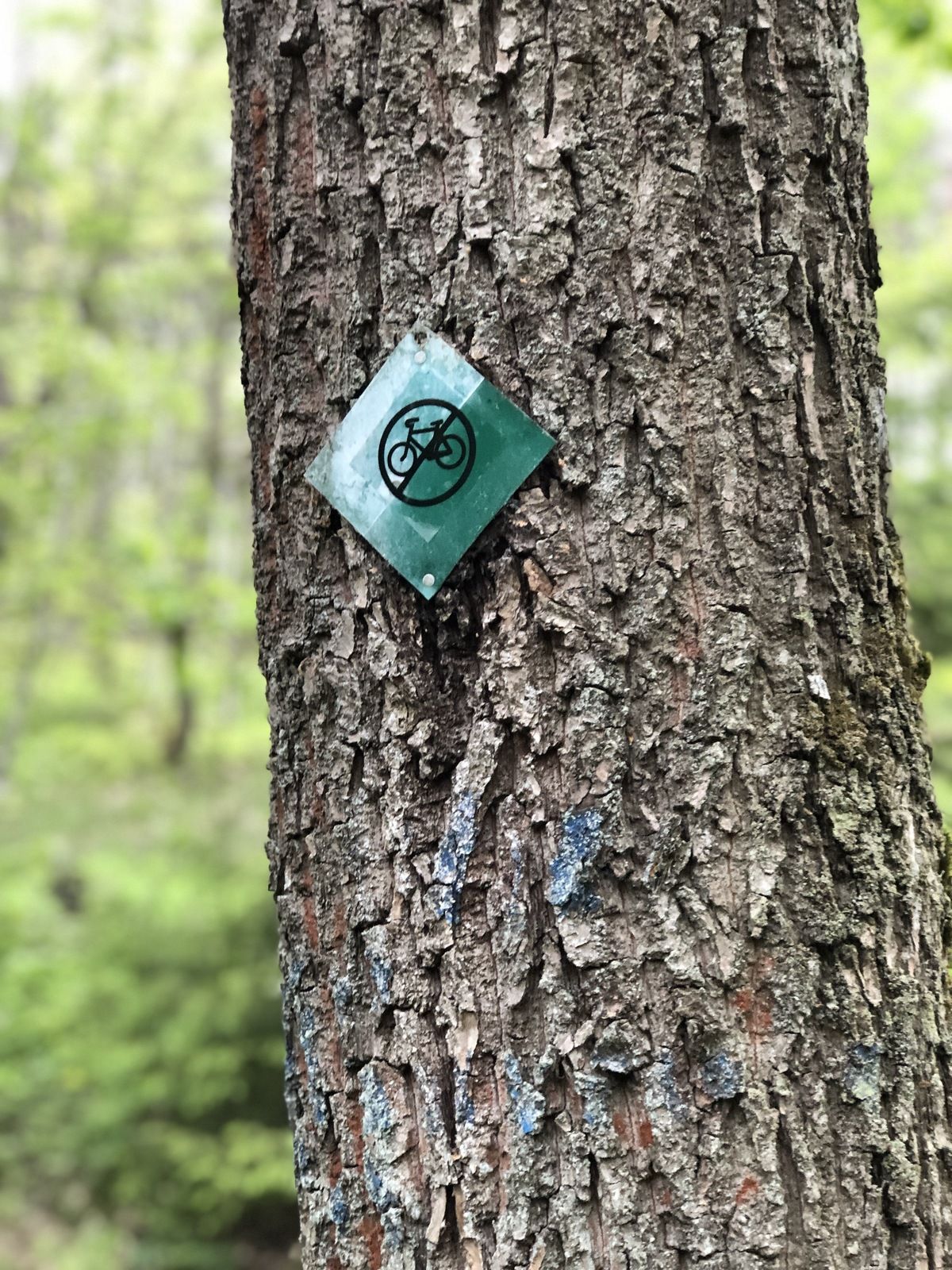 07476128-5F56-485B-8E7F-D1073D79F504.jpeg