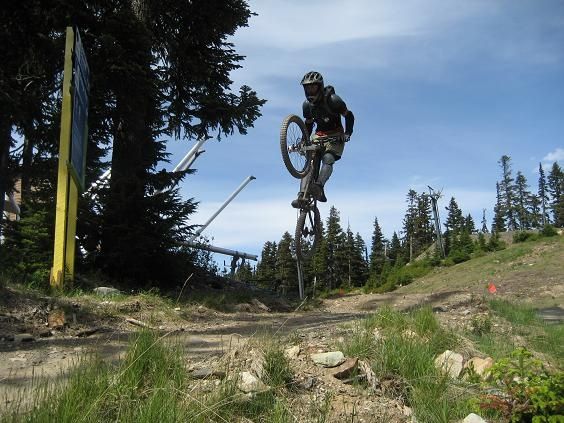 08Hannestabletop.JPG ht=423