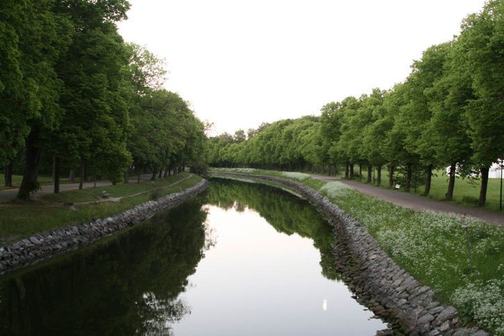 08.jpg ht=484