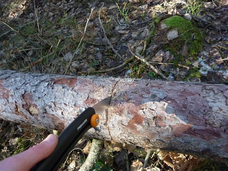 08-skogsrj.JPG