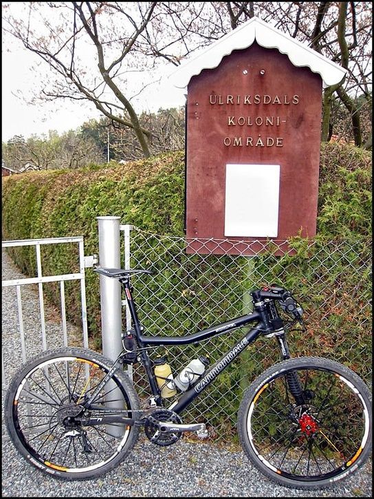 080428_IMG_0253.jpg ht=725