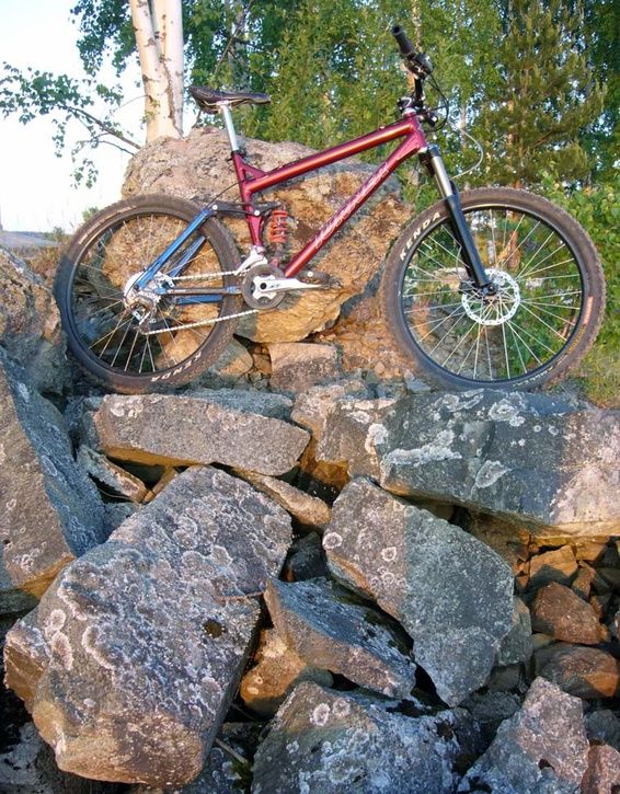 080605Alive.jpg ht=725