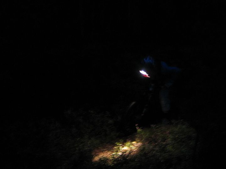 080902-ix-12b.jpg ht=540