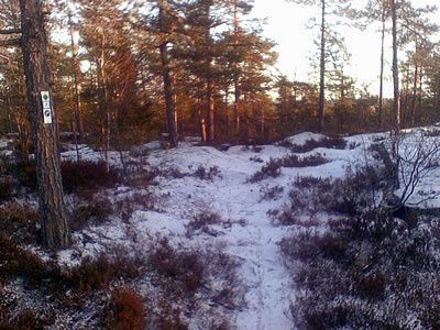 081101_toppen.jpg ht=300