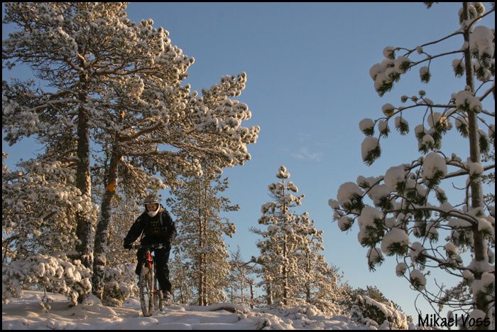 081116-18.jpg ht=467