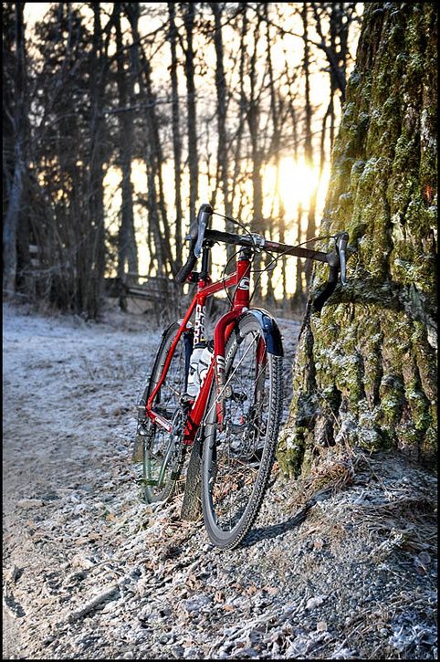 081230_DSC_0457.jpg ht=725