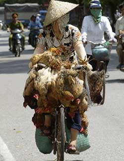 0819bike-chick.jpg
