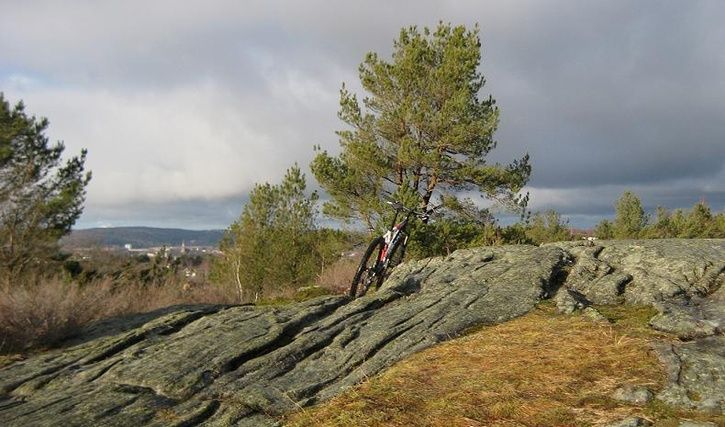 090125.JPG ht=427