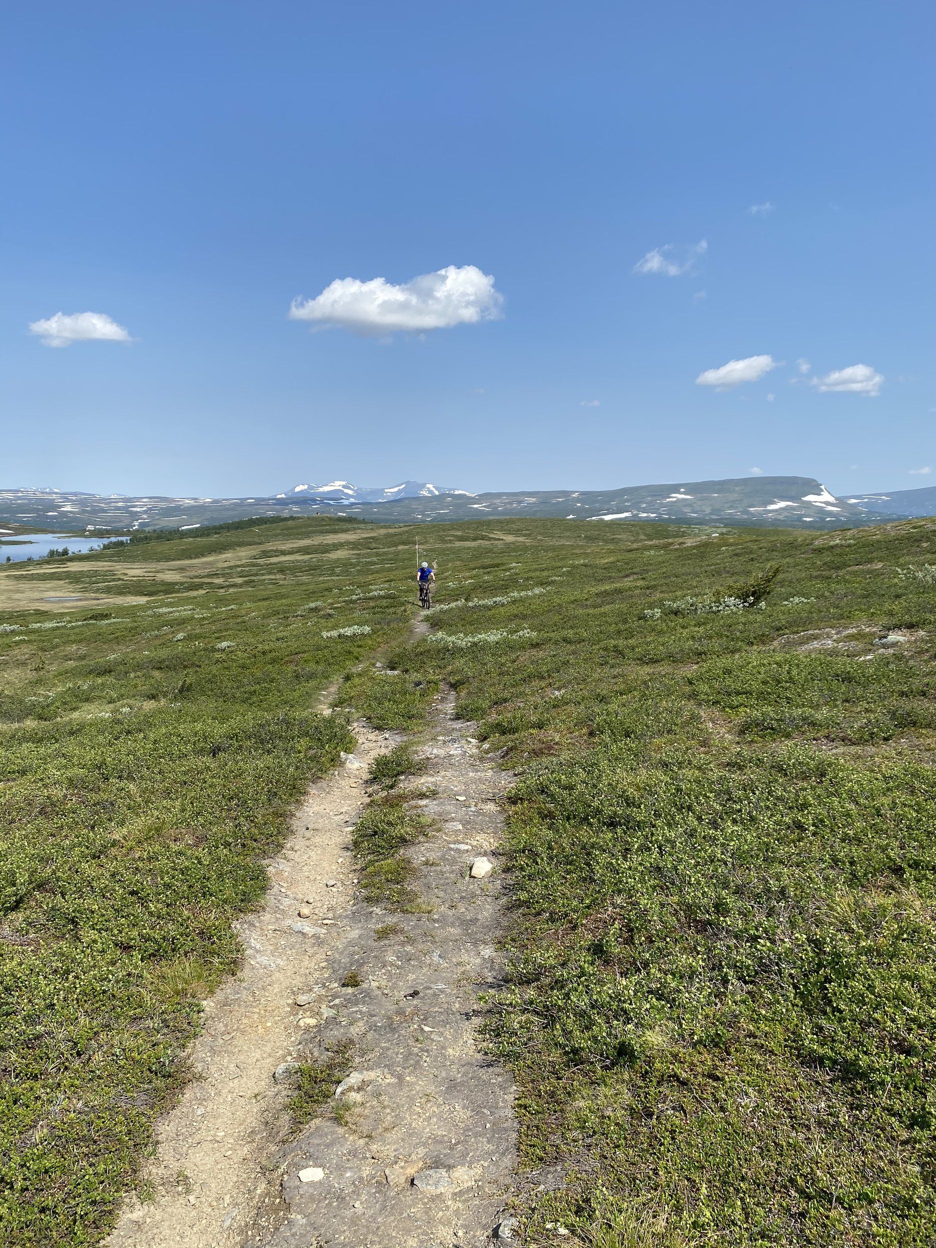 090205BE-F9A3-46B4-A728-33EFB2A6ACA9.jpeg