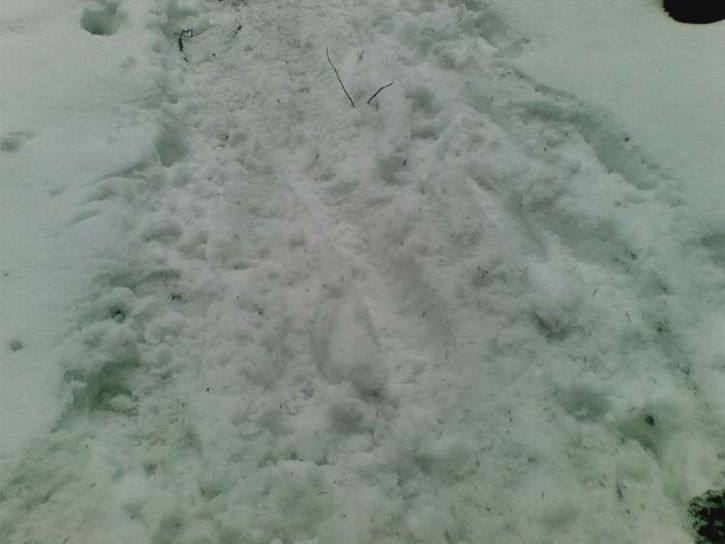 090329Slush.jpg ht=544